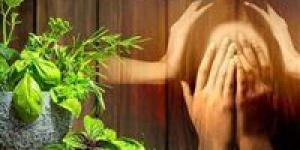 "علاج القلق والاكتئاب".. أسرار لاستعادة سلامك النفسي - بوابة الزهراء