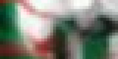 تشريعيات 2 جويلية.. بداية فترة الصمت الانتخابي - بوابة الزهراء
