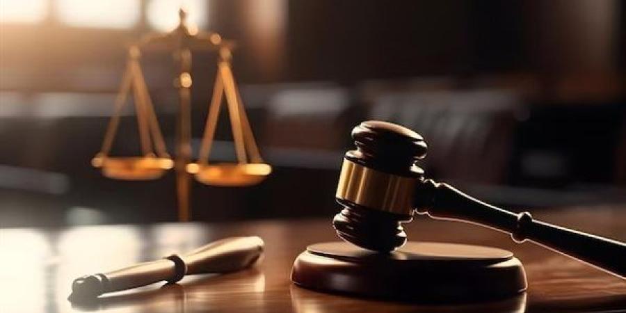 تأجيل محاكمة عاطل بتهمة قتل عامل بالزاوية الحمراء لـ 7 يوليو - بوابة الزهراء