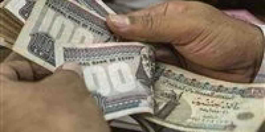 رواتب وتأمينات.. وزارة العمل تعلن عن 4504 وظيفة في 14 محافظة خلال يونيو - بوابة الزهراء